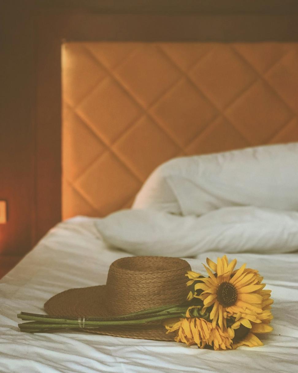Wellness Experience